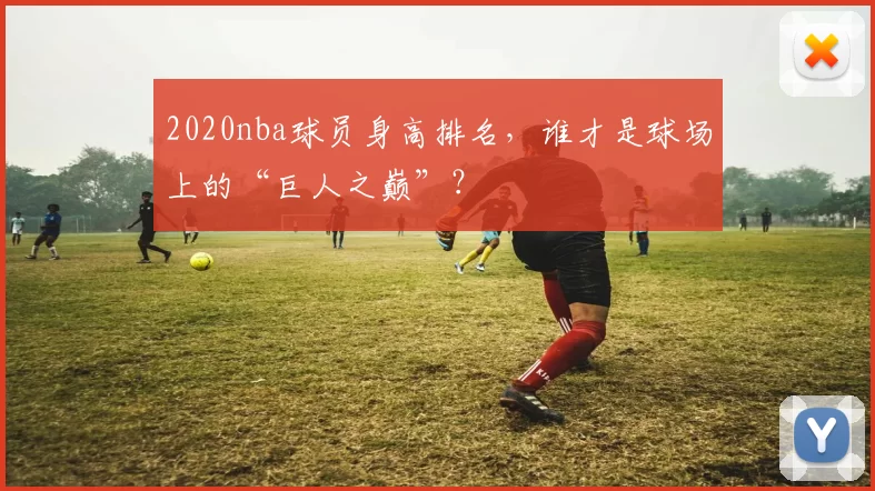 2020nba球员身高排名，谁才是球场上的“巨人之巅”？