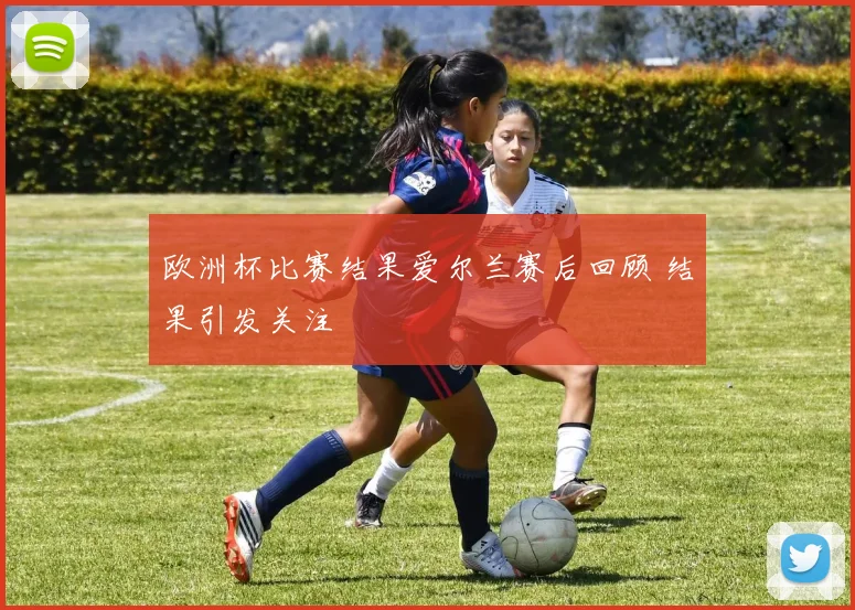 欧洲杯比赛结果爱尔兰赛后回顾 结果引发关注