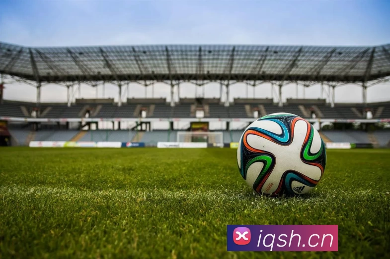 九游入口官网登录服务体系